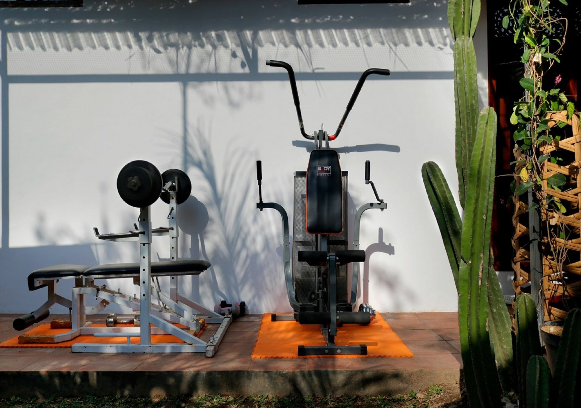 Bali Bee House Hotell Kerobokan Exteriör bild